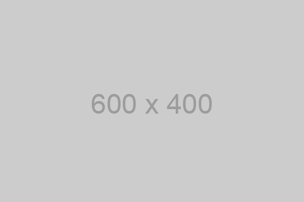 placeholder 600x400
